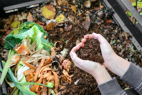 Biodegradabile vs. compostabile, quali sono le differenze.